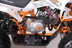 Tao Motor Cheetah Platinum ATC - Youth Sports Model 120cc