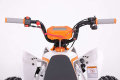 Tao Motor Cheetah Platinum ATC - Youth Sports Model 120cc