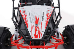 Tao Motor Baja Sport 200 Adult Go-Kart - Large-Sized Go Kart 170cc