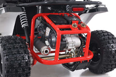 Tao Motor Baja Sport 200 Adult Go-Kart - Large-Sized Go Kart 170cc