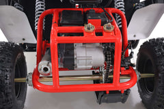 Tao Motor Baja Sport 200 Adult Go-Kart - Large-Sized Go Kart 170cc