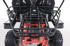 Tao Motor Baja Sport 200 Adult Go-Kart - Large-Sized Go Kart 170cc