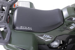 Tao Motor Mudhawk 6 Youth ATV with Remote Shut Off