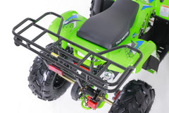 Tao Motor TForce Youth ATV (T125)
