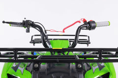 Tao Motor TForce Youth ATV (T125)