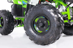 Tao Motor TForce Youth ATV (T125)