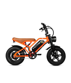 Victrip R6 Off Road E-Bike