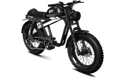 Qiolor Tiger RE Retro Electric Fat Tire Bike - 750W, Up to 130 Mile Range