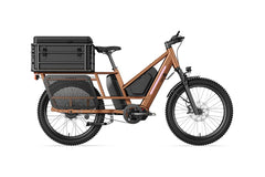 Letrigo Workhorse Electric Bike