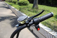 LinksEride M1P Fat Tire Electric Citycoco Scooter