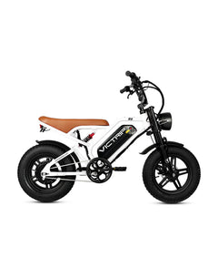 Victrip R6 Off Road E-Bike