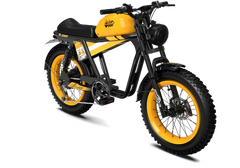 Qiolor Tiger RE Retro Electric Fat Tire Bike - 750W, Up to 130 Mile Range