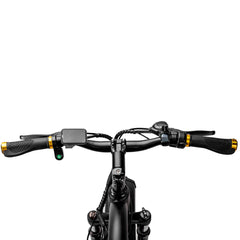 Nakto Cruiser 2 Electric Bike 750W - Black