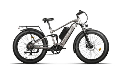 Bee Voyager Dual Batteries Soft Tail Electric Bike