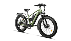 Bee Voyager Dual Batteries Soft Tail Electric Bike