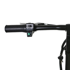 Nakto Skylark 2 Electric Bike 500W - Black