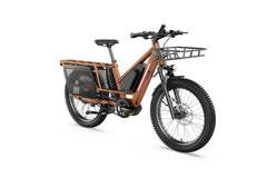 Letrigo Workhorse Electric Bike