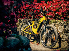 Himiway A7 Pro Commuter eBike - Mid Drive