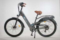 Bagi Bike B27 Trail ST Electric Bike