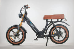 Bagi Bike B24 Tiger - UL Standard Certificate Electric Bike