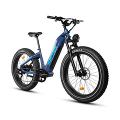 Rattan Sequoia Fat Tire 750W Electric Bike