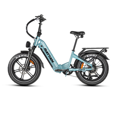 Rattan Pinus Fat Tire 750W Electric Bike
