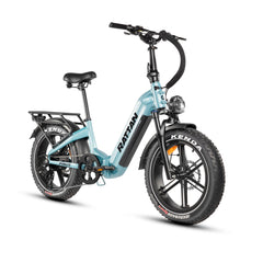 Rattan Pinus Fat Tire 750W Electric Bike