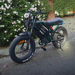 Raev Bullet GT V2 E-Bike