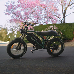 Raev Bullet GT V2 E-Bike