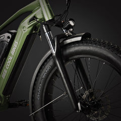 Bee Voyager Dual Batteries Soft Tail Electric Bike