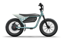 Himiway C1 Kids Electric Bike