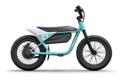 Himiway C1 Kids Electric Bike