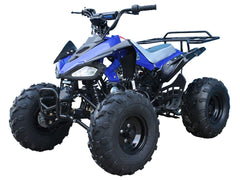 Tao Motor 110 Cheetah Sports ATV - Youth Sports Model 110cc