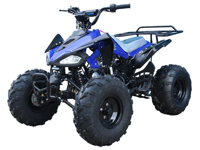 Tao Motor 110 Cheetah Sports ATV - Youth Sports Model 110cc