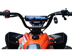 Tao Motor 110 Cheetah Sports ATV - Youth Sports Model 110cc