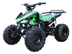 Tao Motor 110 Cheetah Sports ATV - Youth Sports Model 110cc