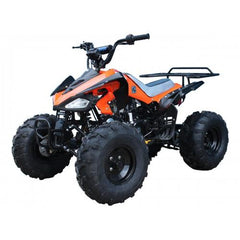 Tao Motor 110 Cheetah Sports ATV - Youth Sports Model 110cc
