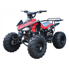 Tao Motor 110 Cheetah Sports ATV - Youth Sports Model 110cc