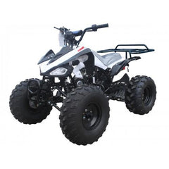 Tao Motor 110 Cheetah Sports ATV - Youth Sports Model 110cc