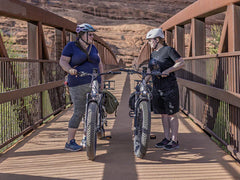 Heybike Alpha Electric Bike - Top Speed 28 MPH