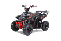Tao Motor Rock 110 Youth ATV