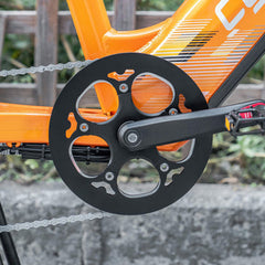 Cyrusher Glider Cargo E-Bike