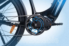 Cyrusher Path - The Modern City E-Bike