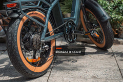 Cyrusher Luxe City E-Bike