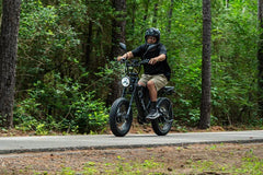 **PREORDER** Cyrusher Scout Moped Style E-Bike