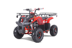 Tao Motor D125 Youth ATV