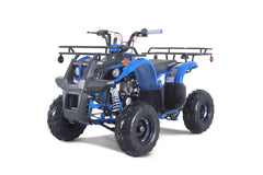 Tao Motor D125 Youth ATV