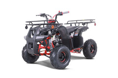 Tao Motor D125 Youth ATV