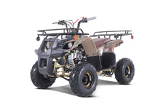 Tao Motor D125 Youth ATV