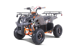 Tao Motor D125 Youth ATV